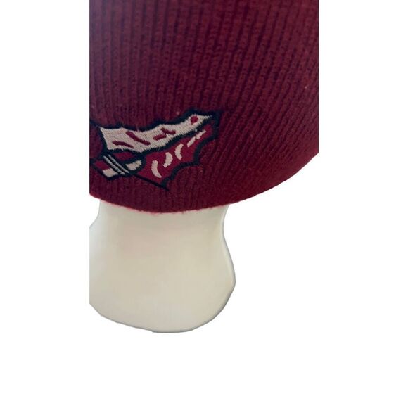 Florida State University FSU Logo embroidered beanie hat - Picture 6 of 14